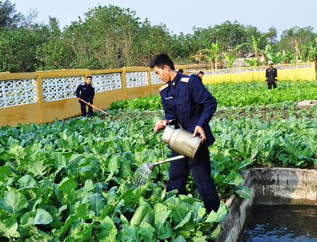 Xuân về trên đảo Bạch Long Vĩ